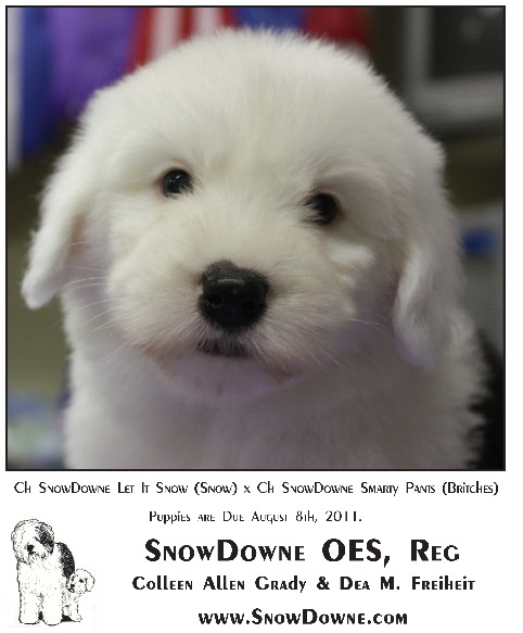 SnowDowne Ad RR July Aug 2011 Right Side